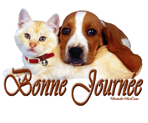 http://abenchaalors.fr/wp-content/uploads/2014/01/bonne-journ%C3%A9ea9.gif?w=1400