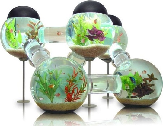 aquariume6