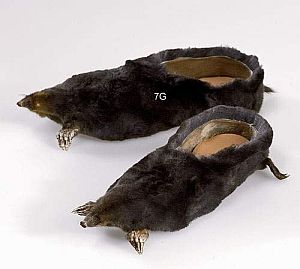 chaussuremoulded-mole1